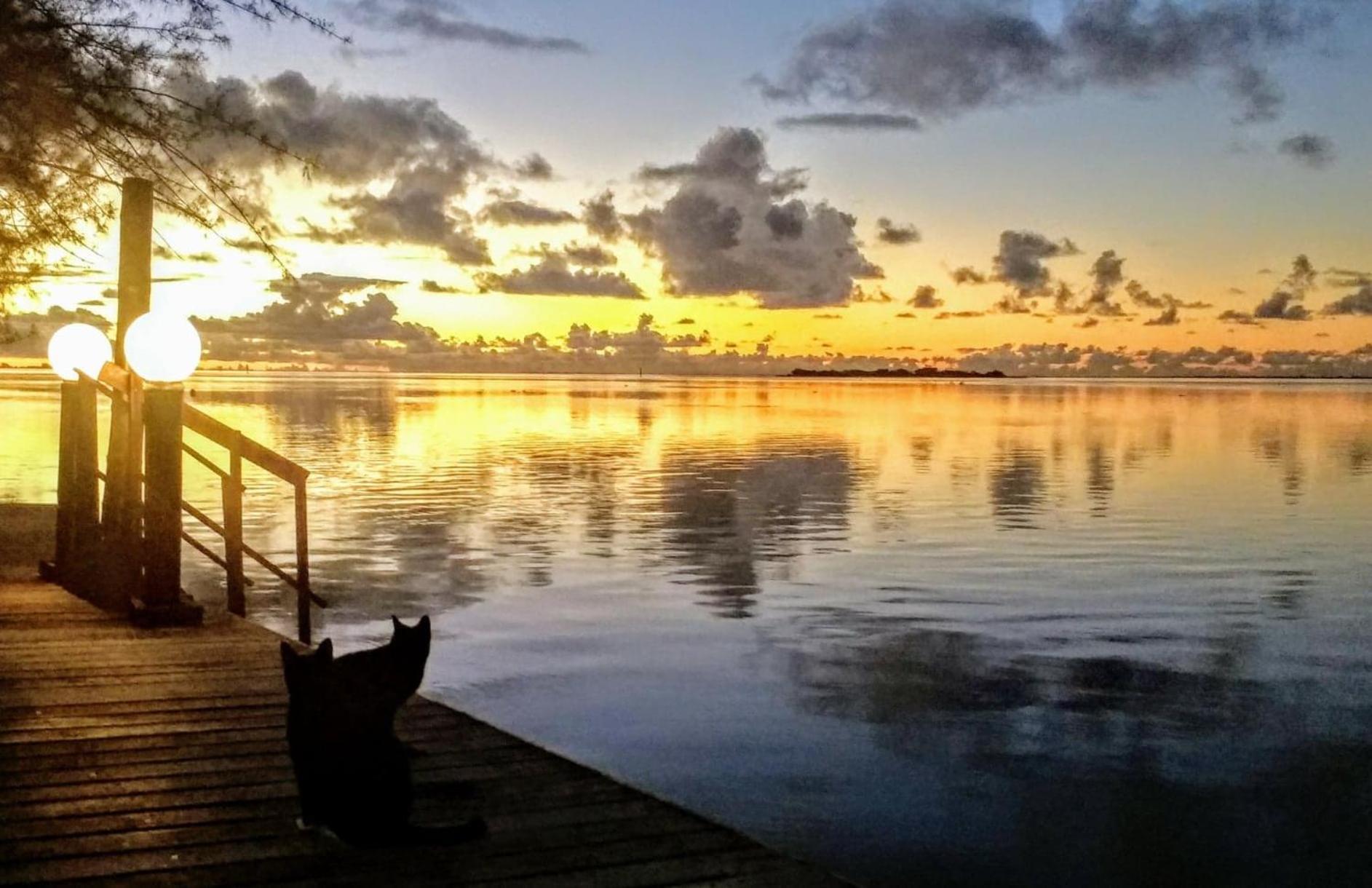 Hotel Fenua Mata'I'Oa Papetoai Kültér fotó